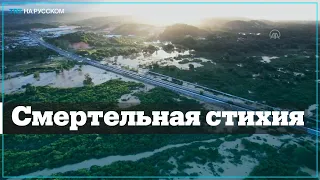 Наводнение в Бразилии унесло жизни 100 человек