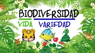 🌿 ¿Qué es la BIODIVERSIDAD? 🐝 [Fácil y Rápido] | BIOLOGÍA |