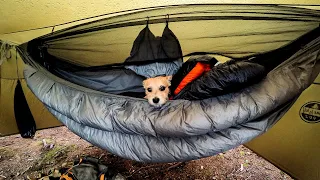 Camping In Rain Hammock Overnight Adventure