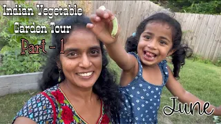 Garden Tour Part 1 | Indian Vegetable Garden in USA | zone 6 Organic Garden |