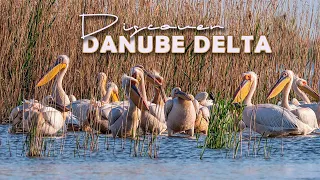 Danube Delta Romania