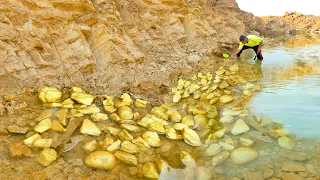 Gold rush! Diver Finds $1500 Of Gold Nuggets of treasure at the River, panning gold.