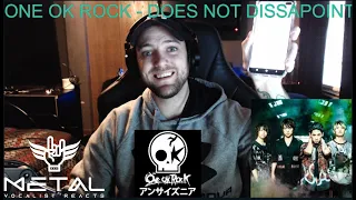 Metal Vocalist Reacts - DECISION ONE OK ROCK 2015 35XXXV JAPAN TOUR LIVE & DOCUMENTARY Live