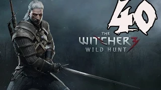 The Witcher 3: Wild Hunt - Gameplay Walkthrough Part 40: Ciri's Story: Out of the Shadows