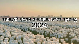 8 марта 2024 г.