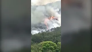 Момент падіння Boeing 737 в Китаї потрапив на відео