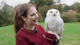 Meeting, Feeding & Flying Owls | Care of Magical Creatures