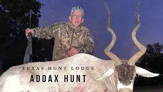 Addax Hunting at Texas Hunt Lodge - Texas Exotic Hunt