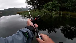 Small Baber while targeting Bass at Loskop dam