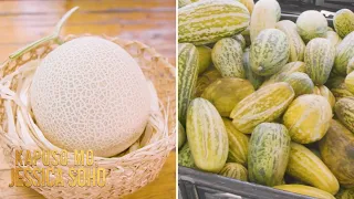 Melon na nagkakahalaga ng 5 million yen, matatagpuan sa Pilipinas?! | Kapuso Mo, Jessica Soho