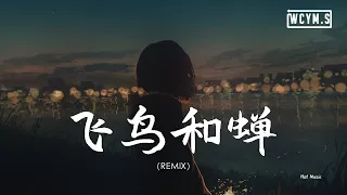 任然 -飞鸟和蝉 (Hot Music Remix) 「你骄傲的飞远，我栖息的夏天」【動態歌詞/pīn yīn gē cí】