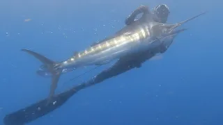 SPEARFISHING BLACK MARLIN off the coast of Australia, the most INSANE day iv'e EVER had Spearing.