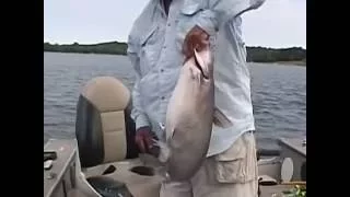 How to catch Big Catfish on Kerr Lake Fishing with Phil