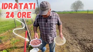 Faccio COSÌ per SEMINARE i FAGIOLI BORLOTTI NANI!