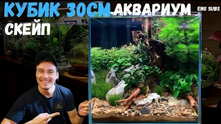 НОВЫЙ СКЕЙП | АКВАРИУМ КУБИК 30СМ | NEW SCAPE CUBE AQUARIUM 30CM | TUTORIAL