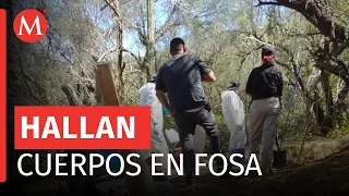 Colectivos de búsqueda localizan seis cuerpos en dos fosas clandestinas en Tijuana