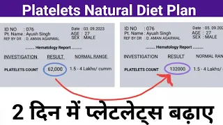 2 दिन में प्लेटलेट्स बढ़ाए - Platelets Count ( प्लेटलेट्स) बढ़ाने का Natural Diet plan