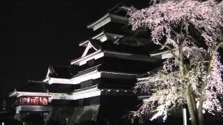 Cherry Blossom Festival at a Japanese Castle: Matsumoto-jo