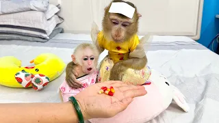 Monkey Kaka bravely drank medicine without fear of bitterness