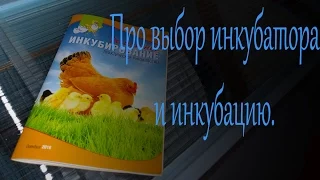 Про инкубатор и его выбор // Мое хозяйство