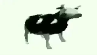 Dancing Polish Cow But Only The Best Part