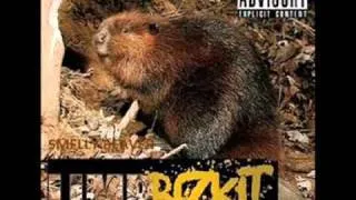 Limp Bizkit - Sniffing