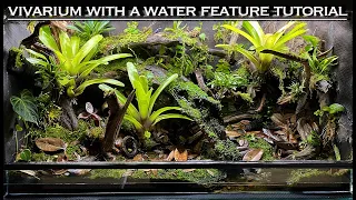 EPIC Vivarium With a Water Feature Bioactive Tutorial!!