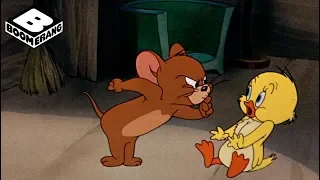 Little Quacker | Tom and Jerry | Boomerang Official