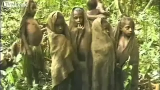 Племя первый раз видит белого человека  1976 год  Папуа Новая Гвинея  Переполняет десятками эмоций  1