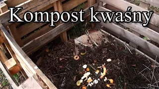 Kompost kwaśny - z czego zrobić?