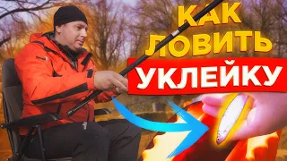 КАК ЛОВИТЬ УКЛЕЙКУ? ПРАВИЛЬНЫЕ Снасти и Прикормка. Рыбалка 2023