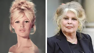 What Really Made Brigitte Bardot's Popularity Revealed - You will be Surprised