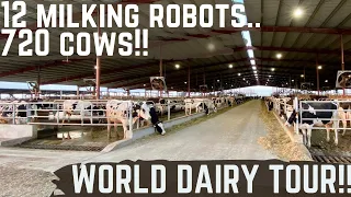 This New Dairy Has 12 Milk Robots!!