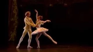 Nureyev & Friends - Sleeping Beauty (Act 3 Pas De Deux)