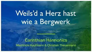 Weils'd a Herz hast wie a Bergwerk (Rainhard Fendrich) covered by Carinthian Harmonics