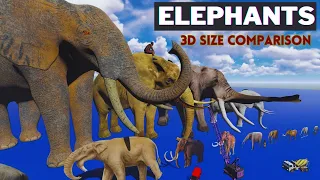 Majestic Mammoths: Viral 3D Elephant SIZE Comparison 🐘 (Animal Size Comparison 3D)