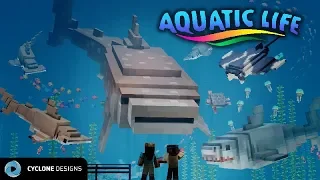 A Look At Aquatic Life