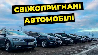 Поповнення автомобілів на авторинку carbaZar!