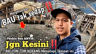 Rumah Di Atas Kerang‼️Pemukiman Kali Adem Muara Angke Penjaringan Jakarta Utara