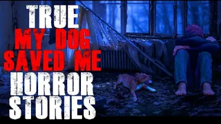 TRUE Dog Hero Scary Stories | Creepy Encounters
