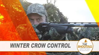 The Shooting Show - Crows over winter crops, duck flighting PLUS squirrel and rabbit control