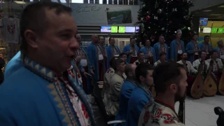 Різдвяні колядки в аеропорту "Київ"