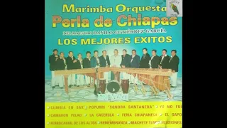 Marimba Orquesta Perla De Chiapas Del Maestro Danilo Gutiérrez García (Los Mejores Éxitos) C.DComp.