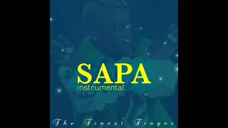 Portable x Zlatan x Naira Marley Afrobeat Type Instrumental/Beat “SAPA"