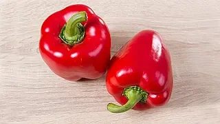 Bell Pepper Snacks - 5 RECIPES