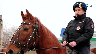 Знакомство с полицейскими и их четвероногими помощниками