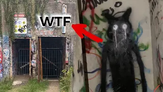 WE FOUND A SECRET HIDDEN BUNKER (epic cliff jumps)