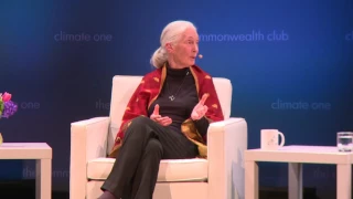 Jane Goodall on Diet and the Environment