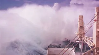 Rogue Waves