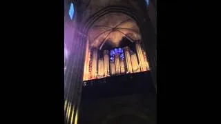 Grand Organ of Notre Dame de Paris